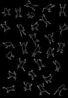 White Frogs on Black   Peinture animalière, art animalier, peintre tableau animal, cheval, ours, élephant, chien sur toile et décoration par Thierry Bisch 